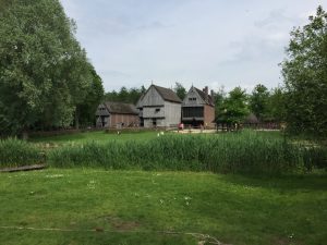 IMG_1726