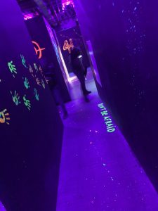 IMG_1238
