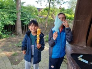 Toverland_Harold_van_Zundert_Stichting_29 klein