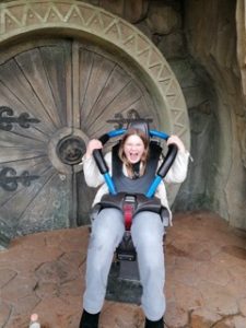 Toverland_Harold_van_Zundert_Stichting_57 klein